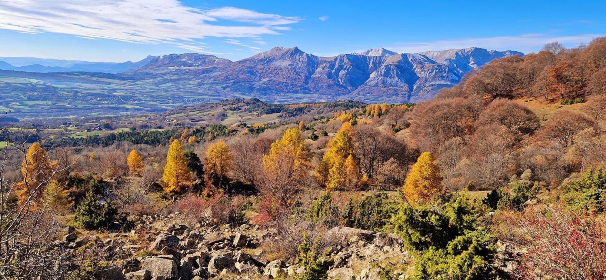 La Rose Des Vents Apartman Saint-Bonnet-en-Champsaur Kültér fotó